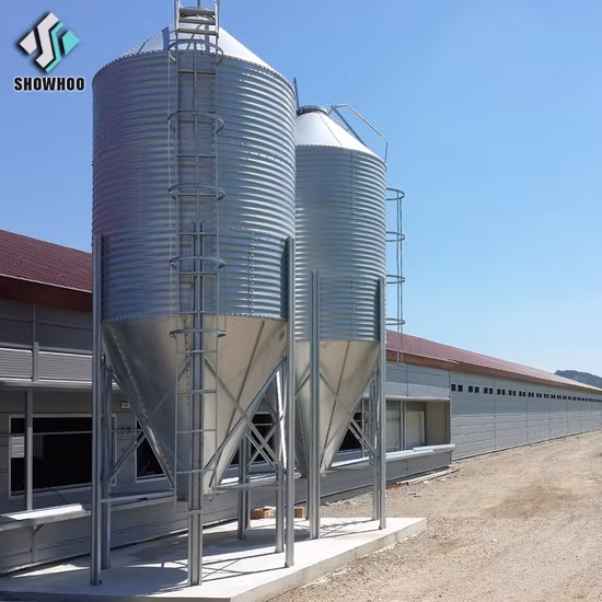 Solar Powered Steel Structure Material Big Chicken Farm