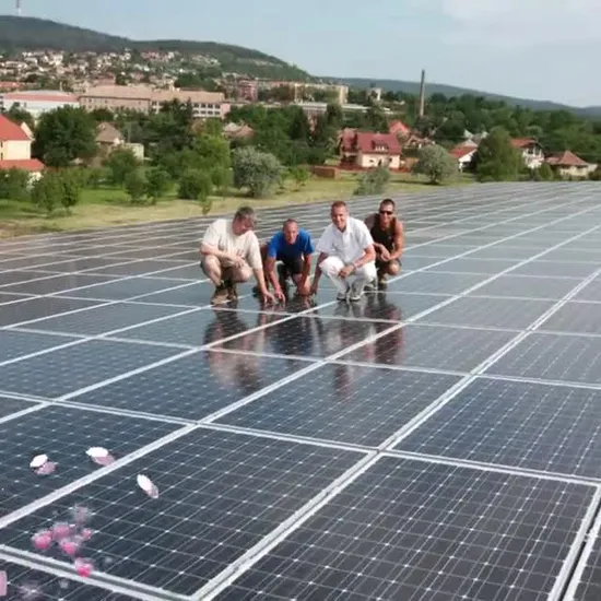 Aluminum Alloy Solar Panel Racking Sun PV Tracking System for Sale 